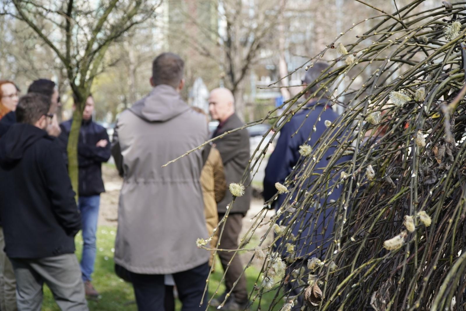 Zdjęcie w galerii na portalu naszraciborz.pl: Standardy ochrony zieleni - wprowadzenie. Szkolenie w ratuszu wiadomości z regionu