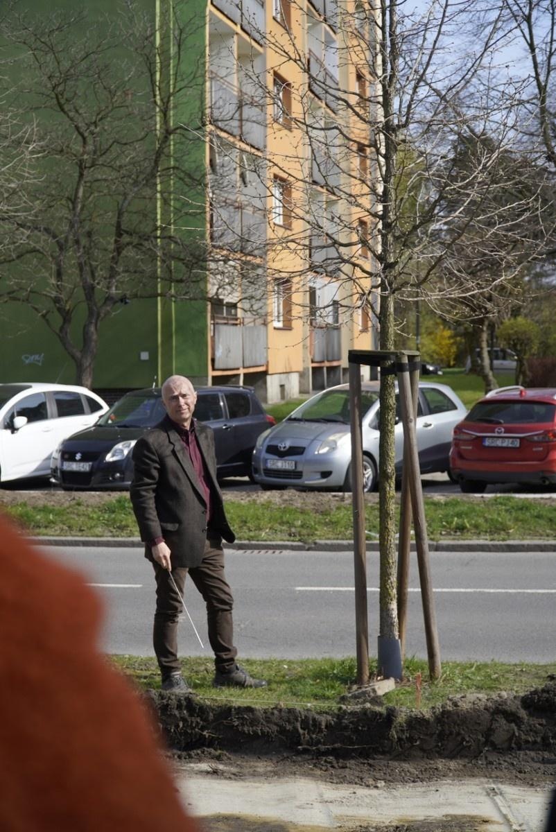 Zdjęcie w galerii na portalu naszraciborz.pl: Standardy ochrony zieleni - wprowadzenie. Szkolenie w ratuszu wiadomości z regionu
