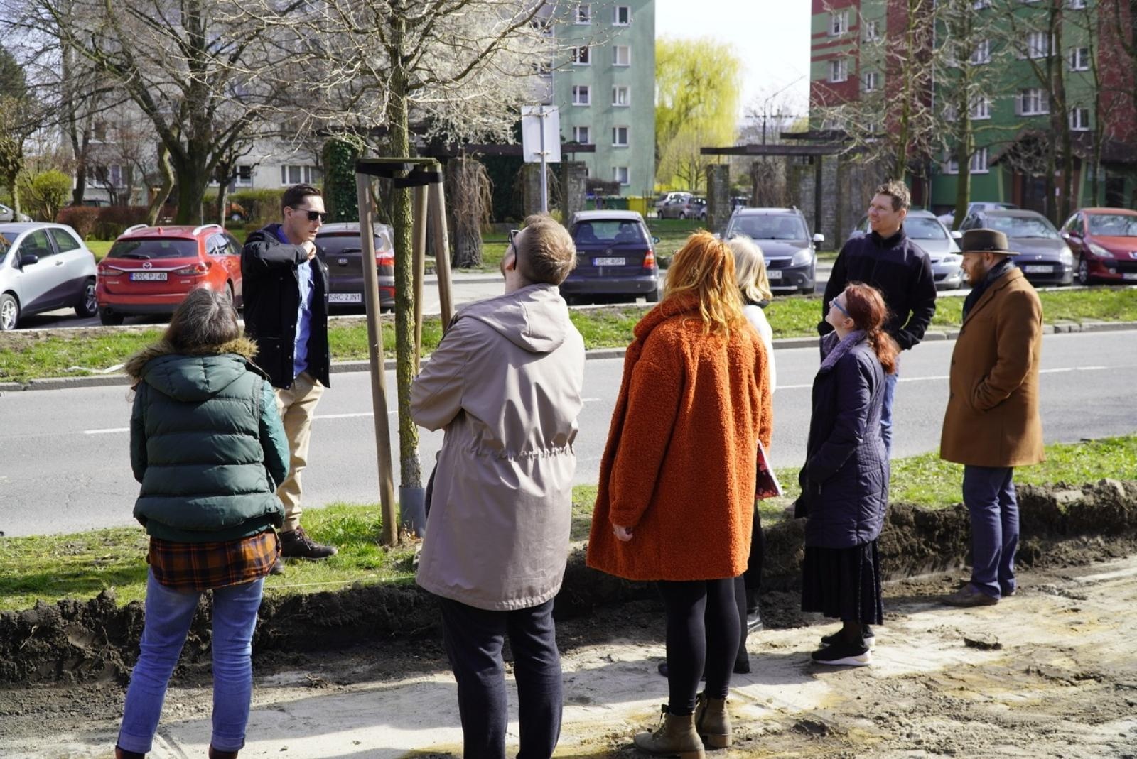Zdjęcie w galerii na portalu naszraciborz.pl: Standardy ochrony zieleni - wprowadzenie. Szkolenie w ratuszu wiadomości z regionu