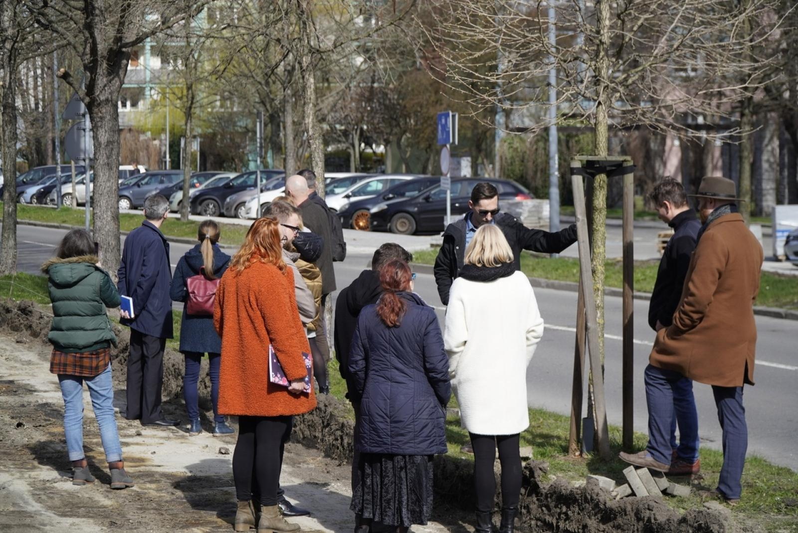 Zdjęcie w galerii na portalu naszraciborz.pl: Standardy ochrony zieleni - wprowadzenie. Szkolenie w ratuszu wiadomości z regionu