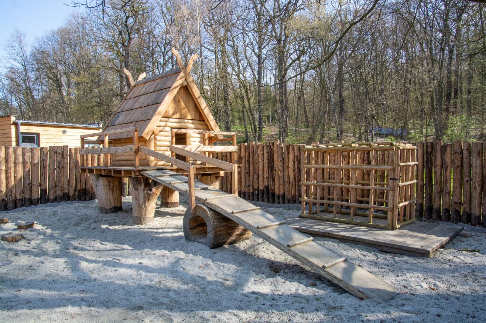 Zdjęcie w galerii na portalu naszraciborz.pl: Owady w skali makro i średniowieczny tor zabaw. Drengowie i Arboretum zadbało o nowe atrakcje lasu Obora wiadomości z regionu