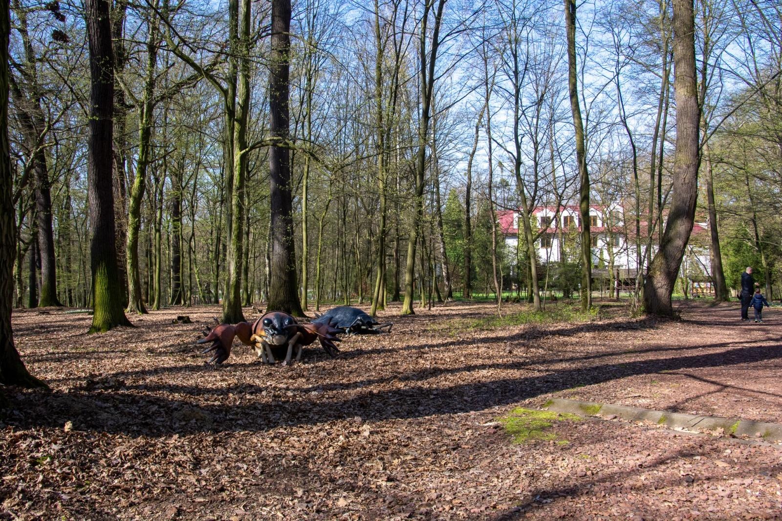 Zdjęcie w galerii na portalu naszraciborz.pl: Owady w skali makro i średniowieczny tor zabaw. Drengowie i Arboretum zadbało o nowe atrakcje lasu Obora wiadomości z regionu