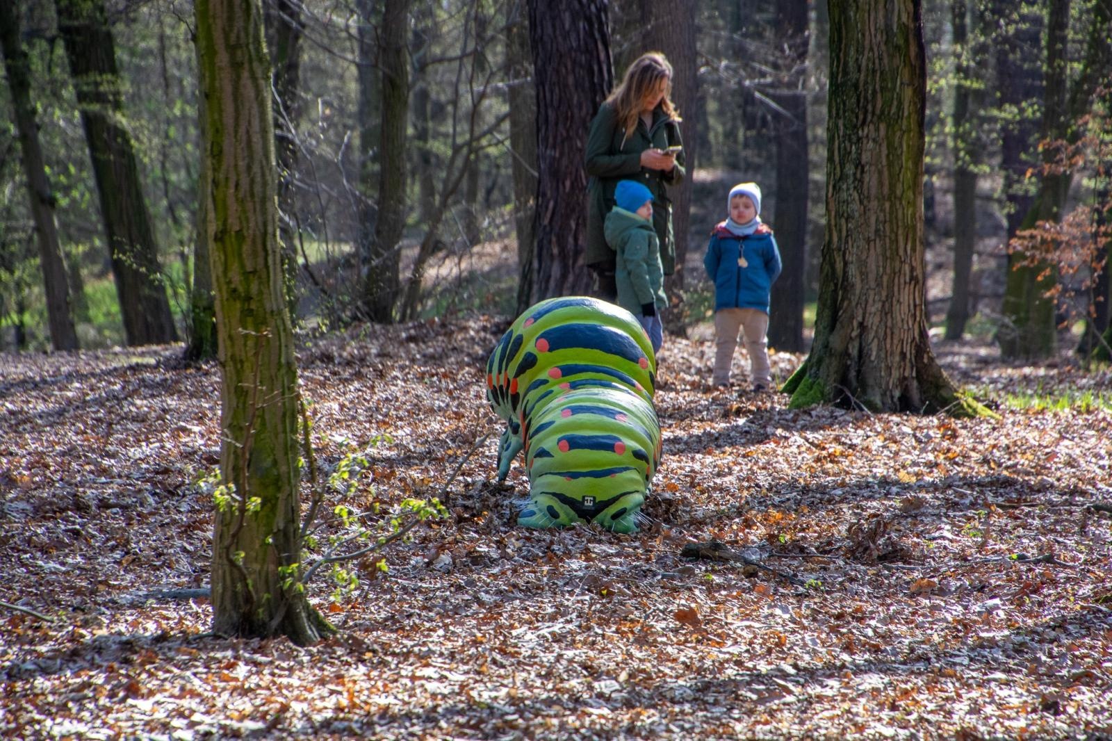 Zdjęcie w galerii na portalu naszraciborz.pl: Owady w skali makro i średniowieczny tor zabaw. Drengowie i Arboretum zadbało o nowe atrakcje lasu Obora wiadomości z regionu