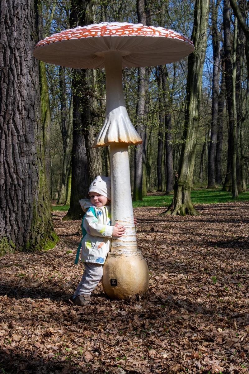Zdjęcie w galerii na portalu naszraciborz.pl: Owady w skali makro i średniowieczny tor zabaw. Drengowie i Arboretum zadbało o nowe atrakcje lasu Obora wiadomości z regionu