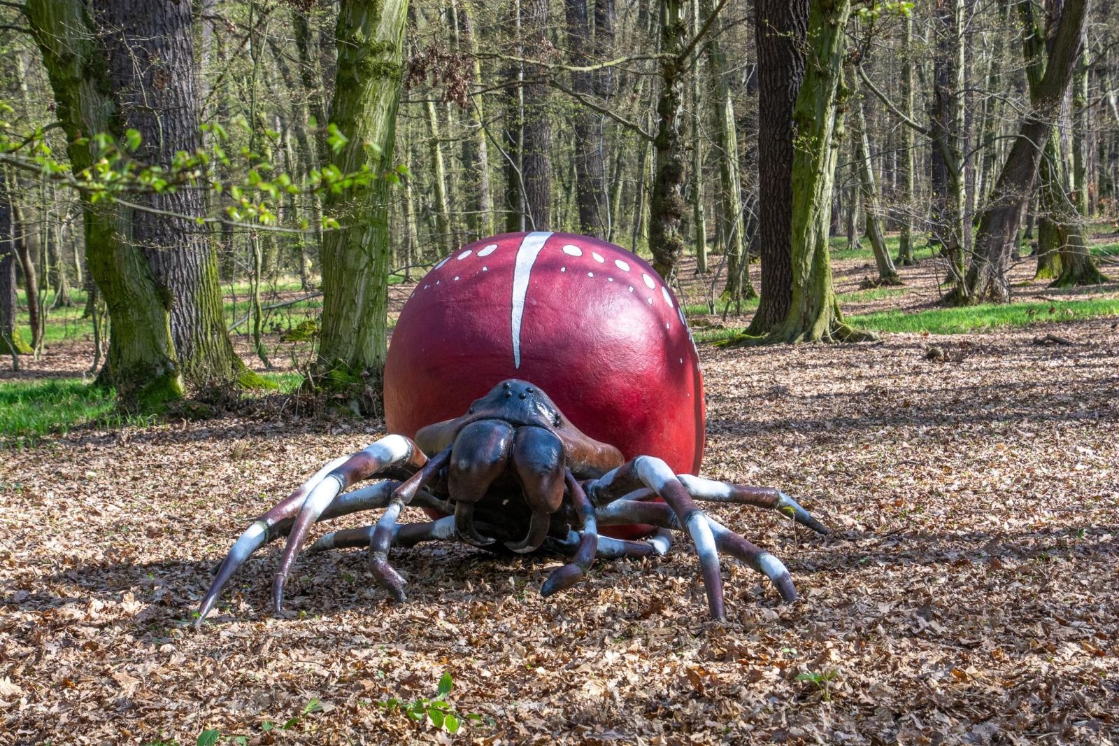 Zdjęcie w galerii na portalu naszraciborz.pl: Owady w skali makro i średniowieczny tor zabaw. Drengowie i Arboretum zadbało o nowe atrakcje lasu Obora wiadomości z regionu