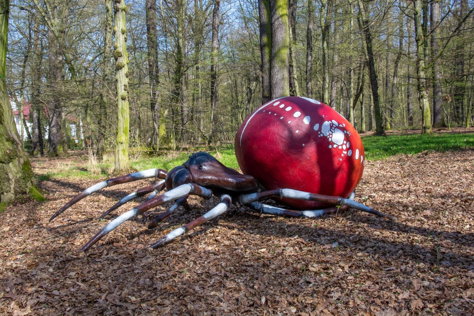 Zdjęcie w galerii na portalu naszraciborz.pl: Owady w skali makro i średniowieczny tor zabaw. Drengowie i Arboretum zadbało o nowe atrakcje lasu Obora wiadomości z regionu
