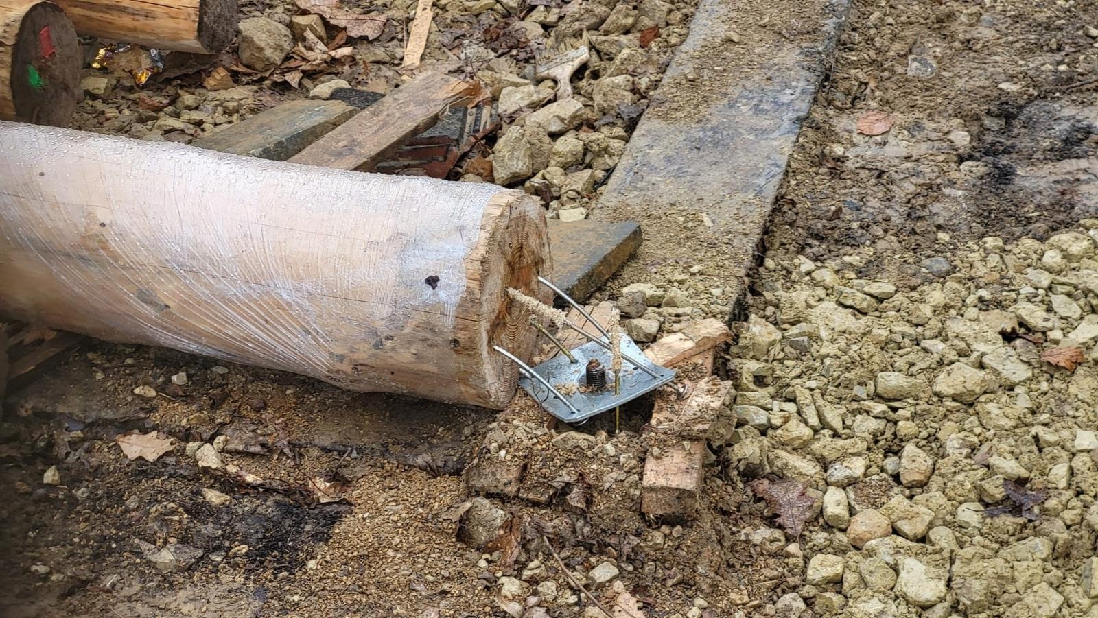 Zdjęcie w galerii na portalu naszraciborz.pl: Runęła niedokończona wiata na terenie zagrody żubrów w Brzeziu wiadomości z regionu