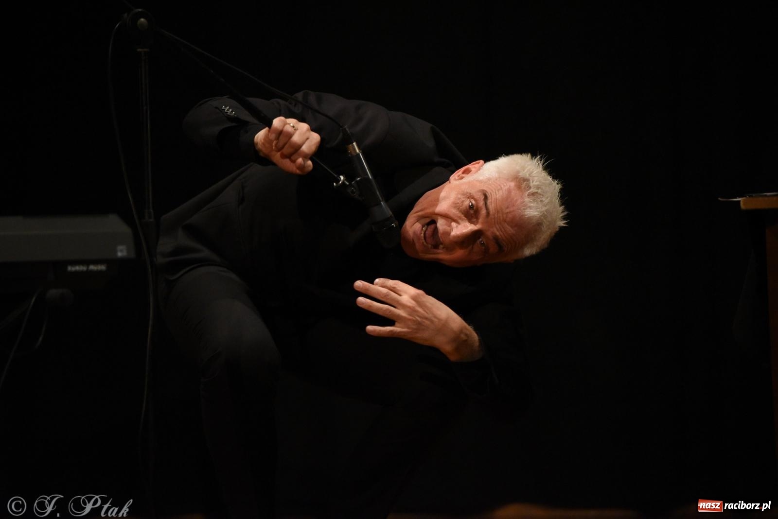 Zdjęcie w galerii na portalu naszraciborz.pl: Wokół Herberta, czyli potęga smaku, albo sztuczny miód w Strzesze wiadomości z regionu