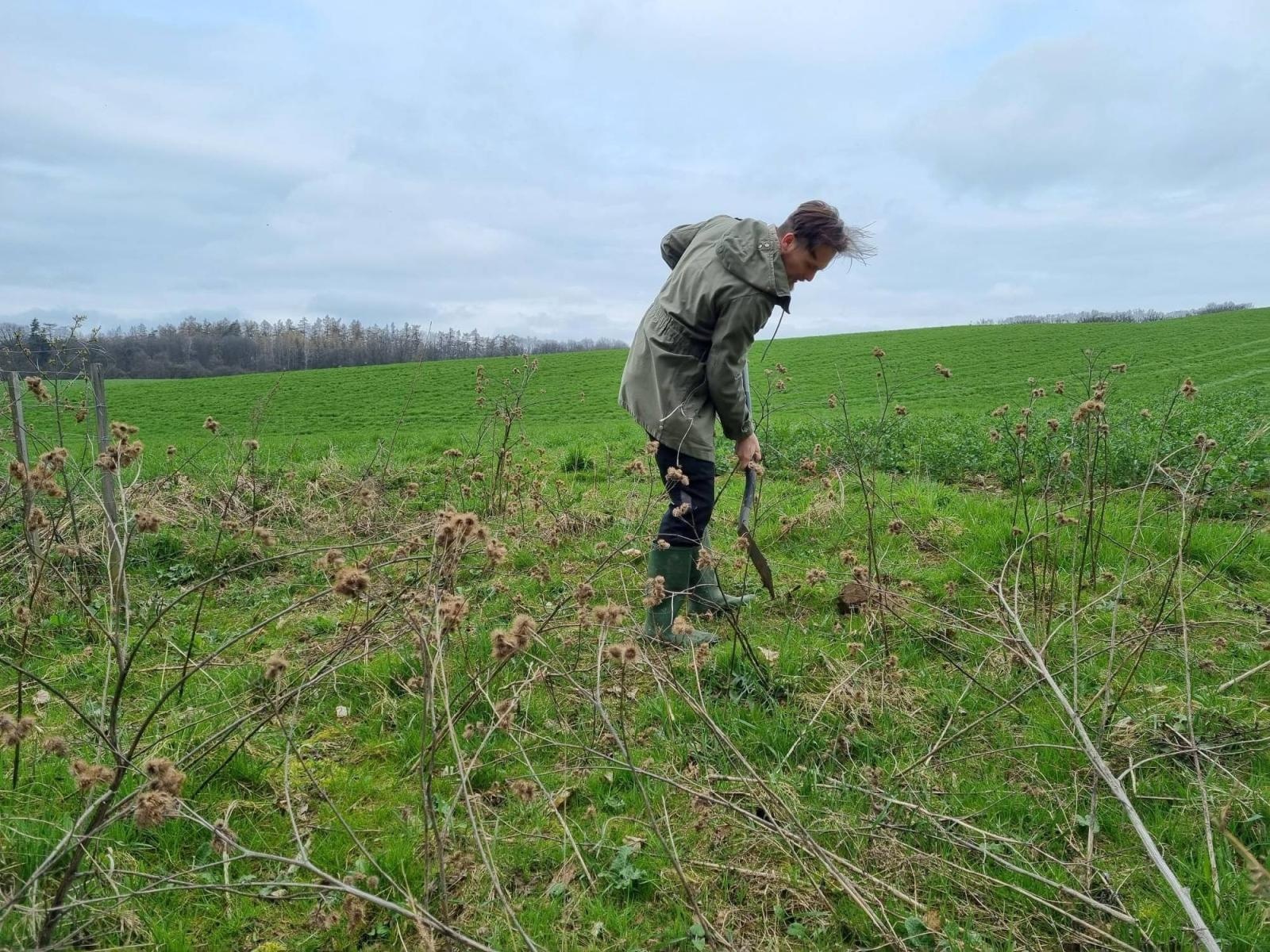 Zdjęcie w galerii na portalu naszraciborz.pl: Ponad 160 nowych drzew - strażników pamięci wiadomości z regionu