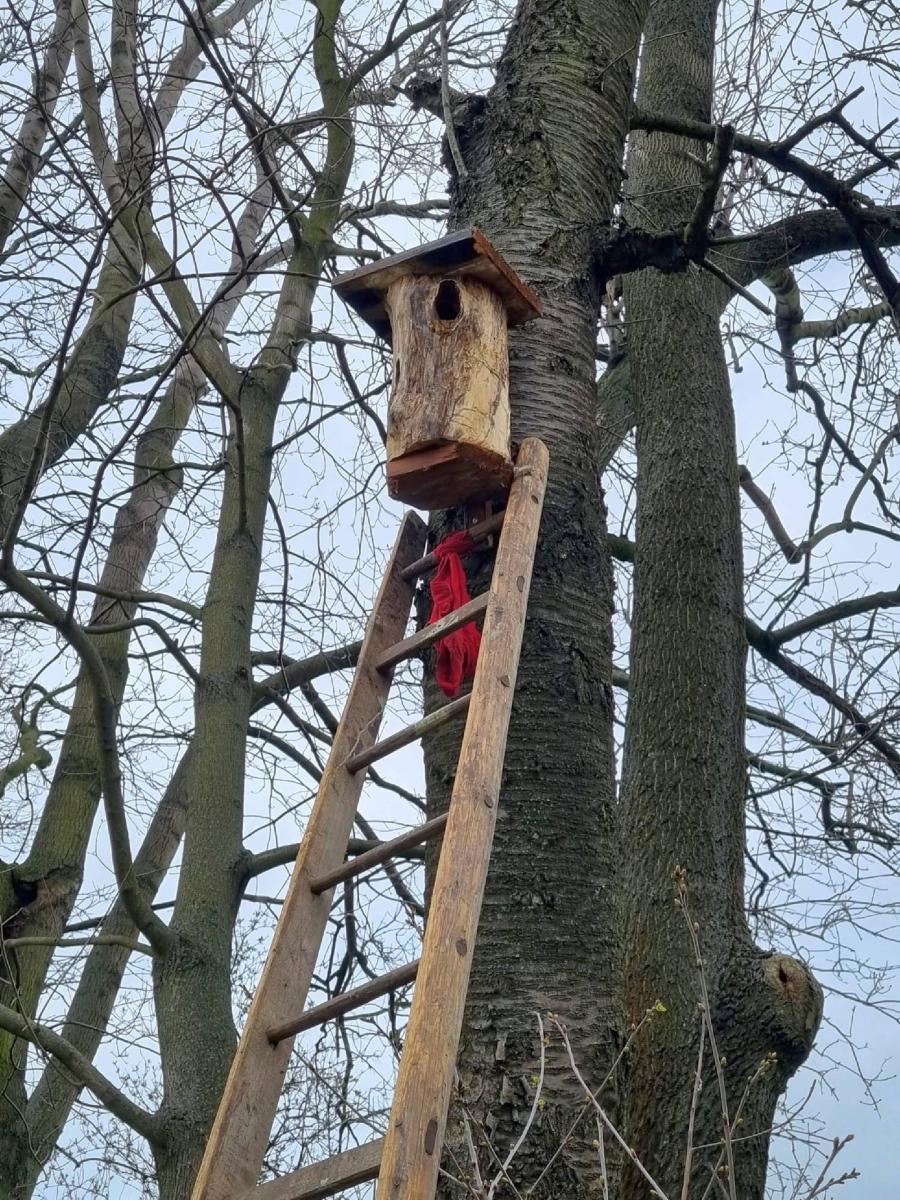 Zdjęcie w galerii na portalu naszraciborz.pl: Ponad 160 nowych drzew - strażników pamięci wiadomości z regionu