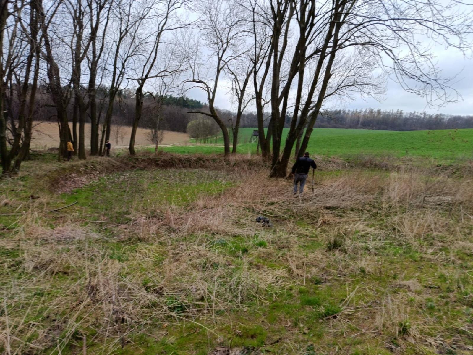 Zdjęcie w galerii na portalu naszraciborz.pl: Ponad 160 nowych drzew - strażników pamięci wiadomości z regionu