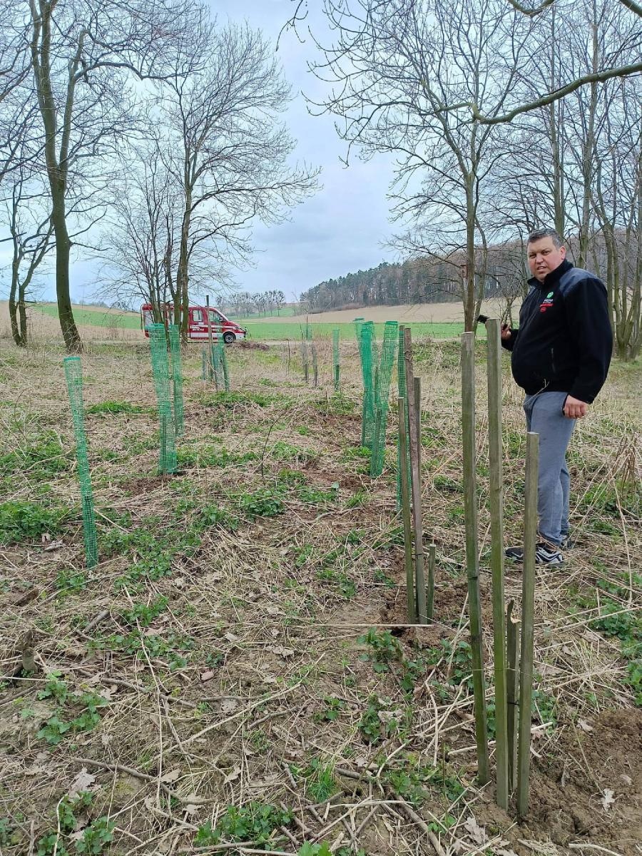 Zdjęcie w galerii na portalu naszraciborz.pl: Ponad 160 nowych drzew - strażników pamięci wiadomości z regionu