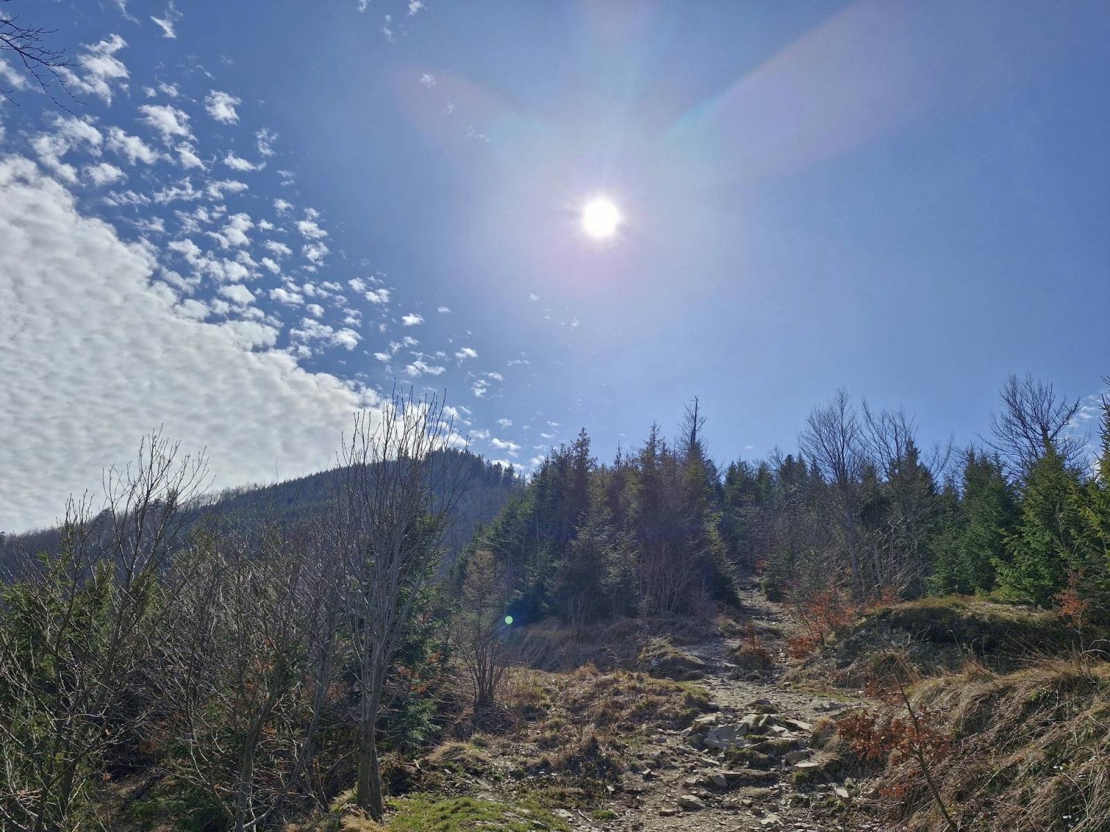 Zdjęcie w galerii na portalu naszraciborz.pl: Raciborzanie wrócili z wyprawy na Skrzyczne i Czupel wiadomości z regionu