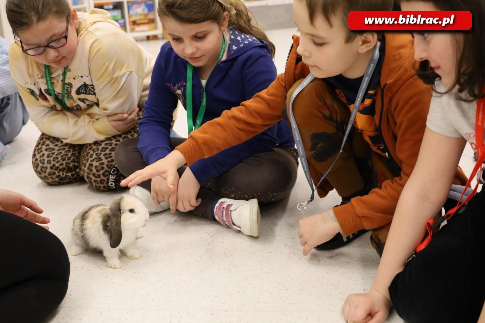 Zdjęcie w galerii na portalu naszraciborz.pl: Biblioteka nie zasypia, czyli XXI Noc z Andersenem za nami! wiadomości z regionu