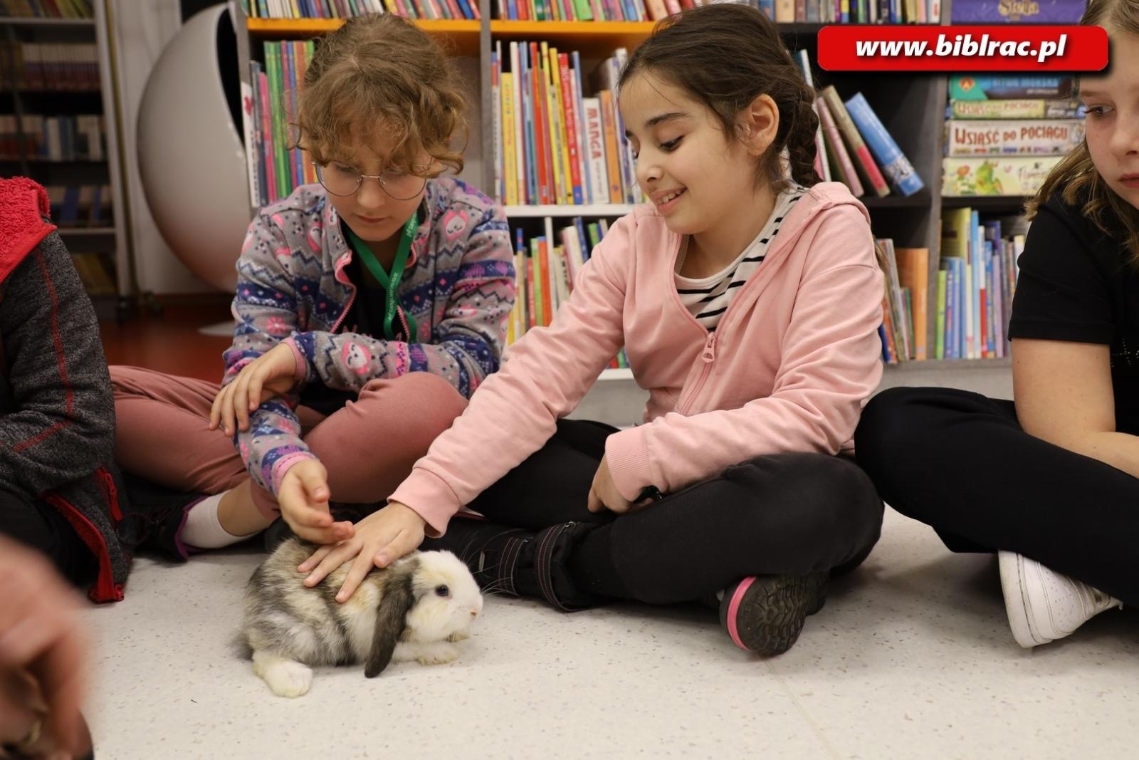 Zdjęcie w galerii na portalu naszraciborz.pl: Biblioteka nie zasypia, czyli XXI Noc z Andersenem za nami! wiadomości z regionu