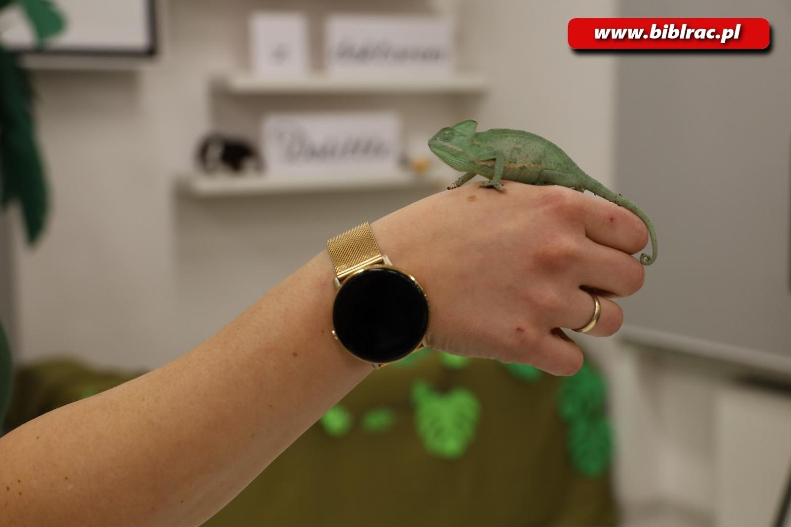 Zdjęcie w galerii na portalu naszraciborz.pl: Biblioteka nie zasypia, czyli XXI Noc z Andersenem za nami! wiadomości z regionu