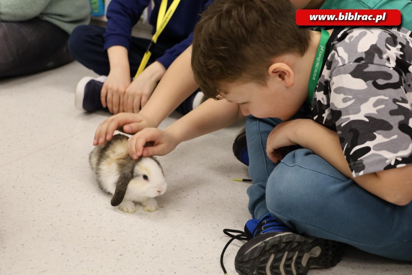 Zdjęcie w galerii na portalu naszraciborz.pl: Biblioteka nie zasypia, czyli XXI Noc z Andersenem za nami! wiadomości z regionu