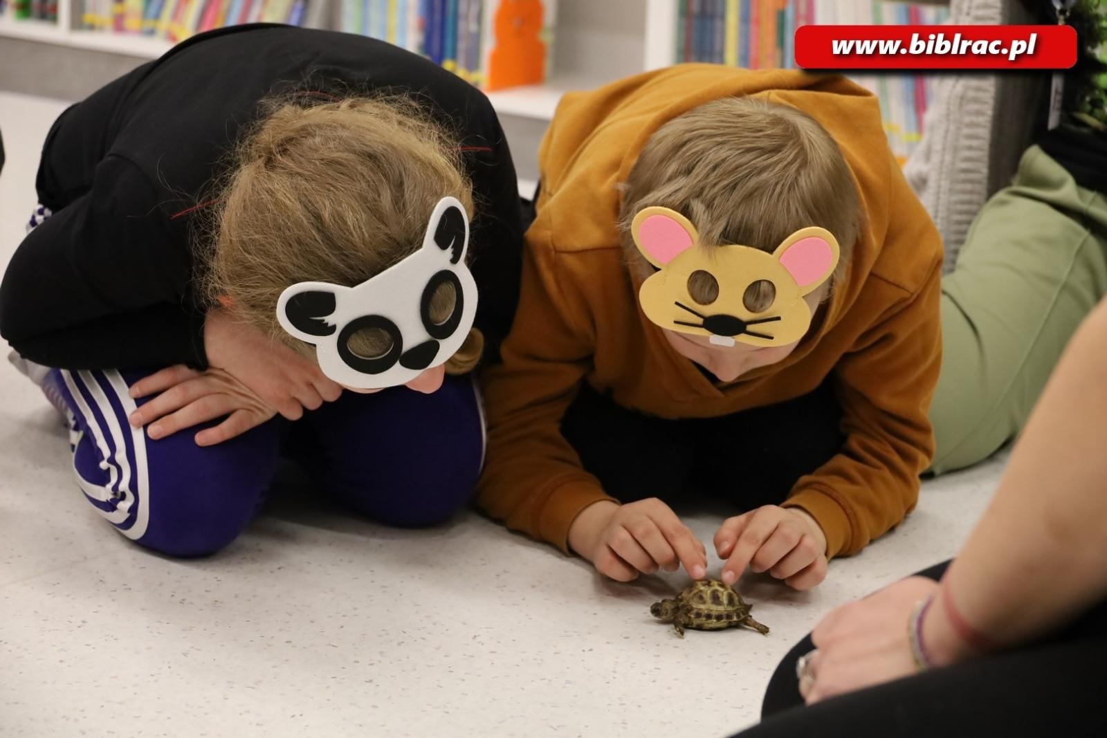Zdjęcie w galerii na portalu naszraciborz.pl: Biblioteka nie zasypia, czyli XXI Noc z Andersenem za nami! wiadomości z regionu