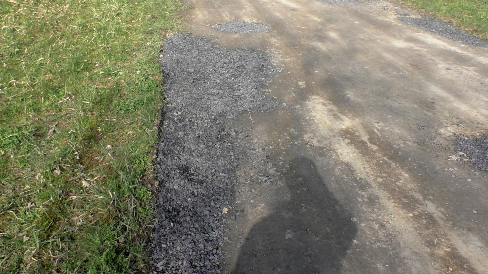 Zdjęcie w galerii na portalu naszraciborz.pl: Wędkarze wzięli się za wiosenne porządki na Babiczoku wiadomości z regionu