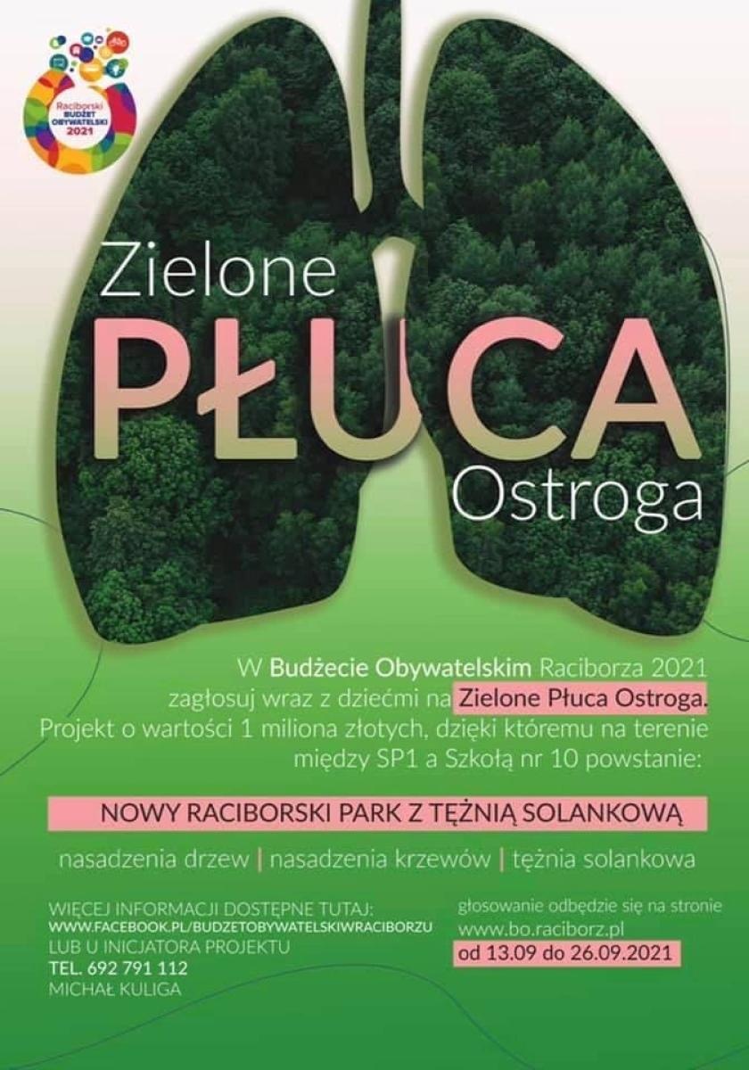Zdjęcie w galerii na portalu naszraciborz.pl: Zielone Płuca na Ostrogu kontra deweloperka. Tężnia finiszuje a radny mówi o kulisach inwestycji [FOTO LOTNICZE] wiadomości z regionu