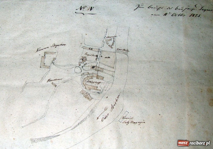 Zdjęcie w galerii na portalu naszraciborz.pl: Jak nie Wawel, to co? wiadomości z regionu