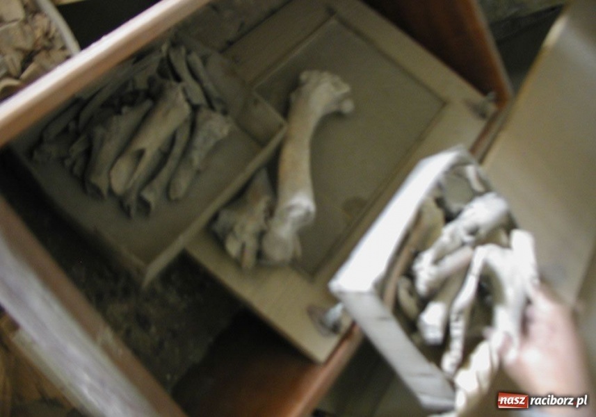 Zdjęcie w galerii na portalu naszraciborz.pl: Jak nie Wawel, to co? wiadomości z regionu