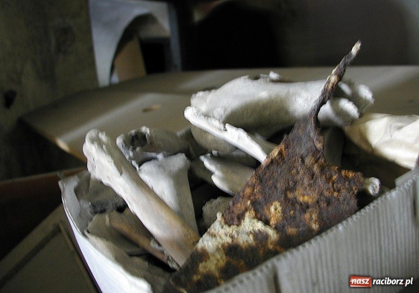 Zdjęcie w galerii na portalu naszraciborz.pl: Jak nie Wawel, to co? wiadomości z regionu