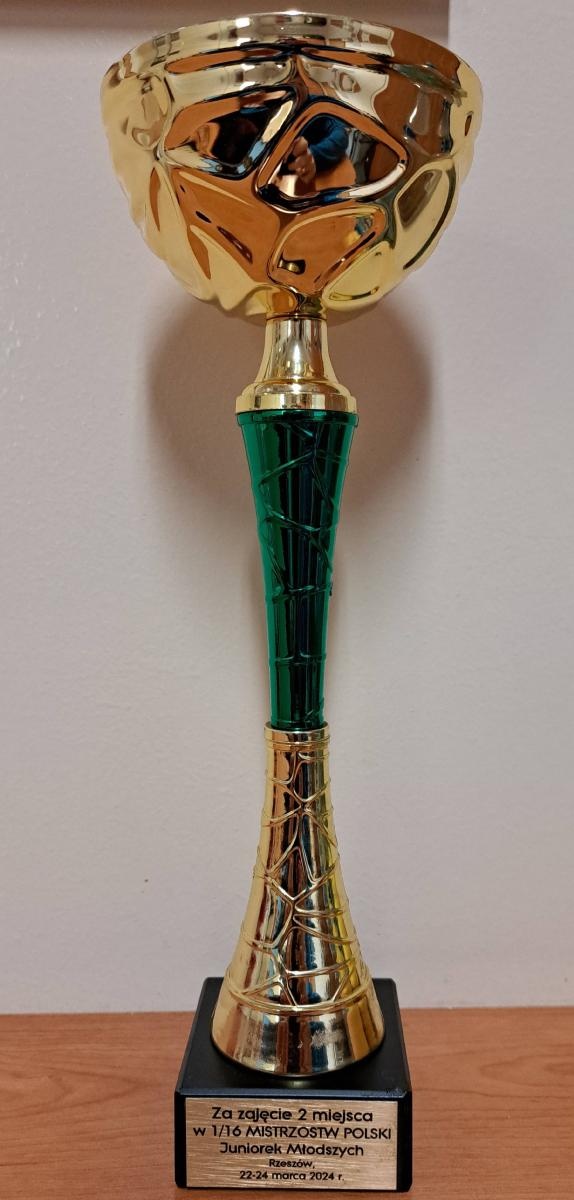 Zdjęcie w galerii na portalu naszraciborz.pl: Awans do rozgrywek szczebla centralnego pietrowickich szczypiornistek wiadomości z regionu