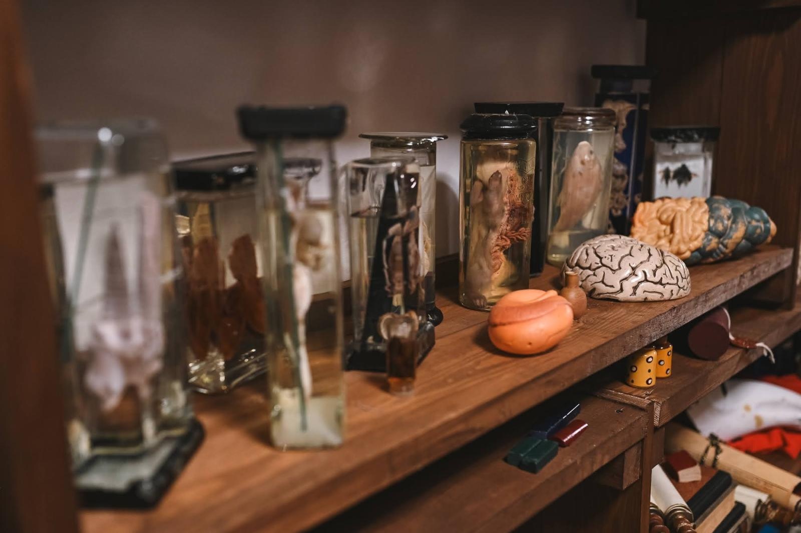 Zdjęcie w galerii na portalu naszraciborz.pl: W Poniedziałek Wielkanocny można zwiedzać odrestaurowany dom książęcy zamku wiadomości z regionu