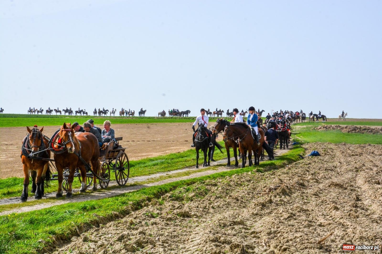 Zdjęcie w galerii na portalu naszraciborz.pl: Setka koni na procesji wielkanocnej w Bieńkowicach [FOTO i WIDEO] wiadomości z regionu