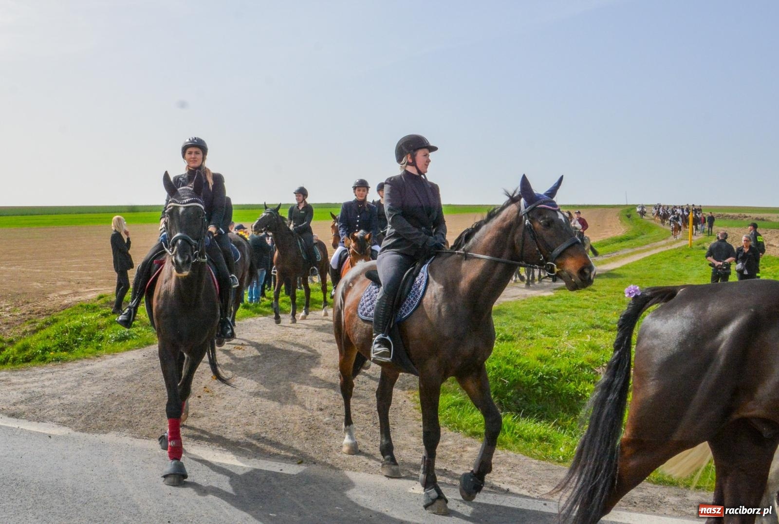 Zdjęcie w galerii na portalu naszraciborz.pl: Setka koni na procesji wielkanocnej w Bieńkowicach [FOTO i WIDEO] wiadomości z regionu