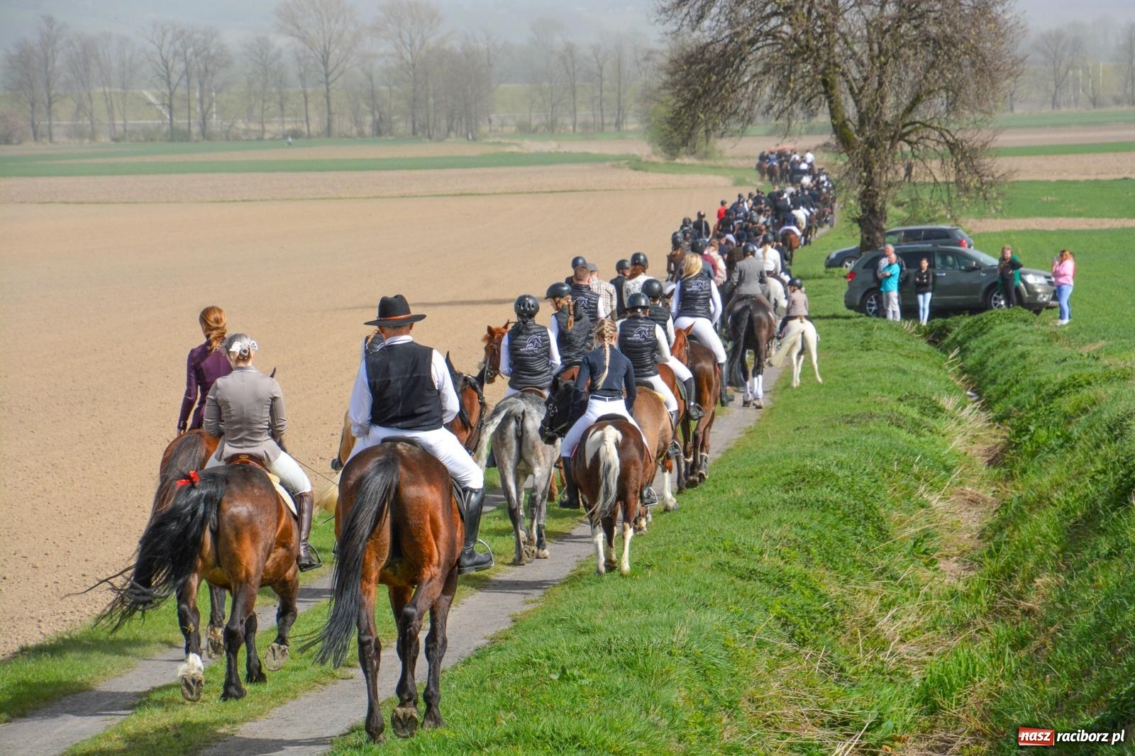 Zdjęcie w galerii na portalu naszraciborz.pl: Setka koni na procesji wielkanocnej w Bieńkowicach [FOTO i WIDEO] wiadomości z regionu