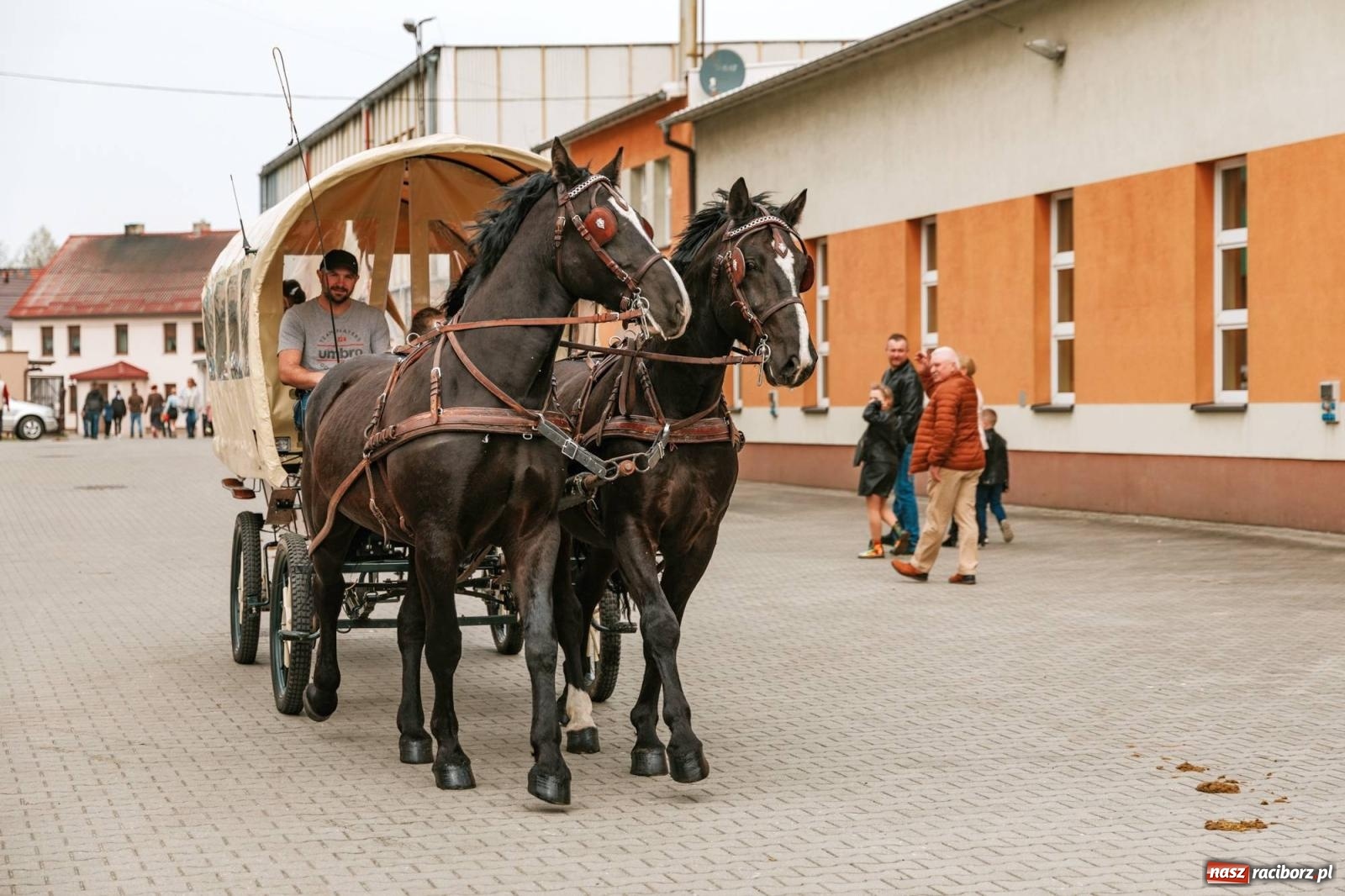 Zdjęcie w galerii na portalu naszraciborz.pl: Procesje konne w Bieńkowicach, Pietrowicach Wielkich i Sudole [FOTO] wiadomości z regionu
