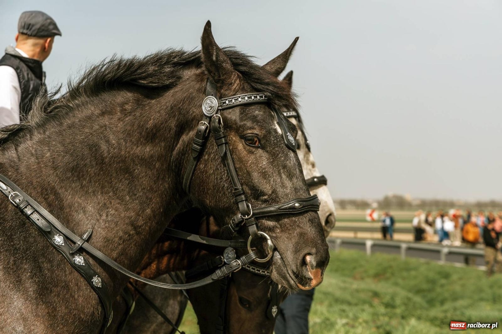Zdjęcie w galerii na portalu naszraciborz.pl: Procesje konne w Bieńkowicach, Pietrowicach Wielkich i Sudole [FOTO] wiadomości z regionu