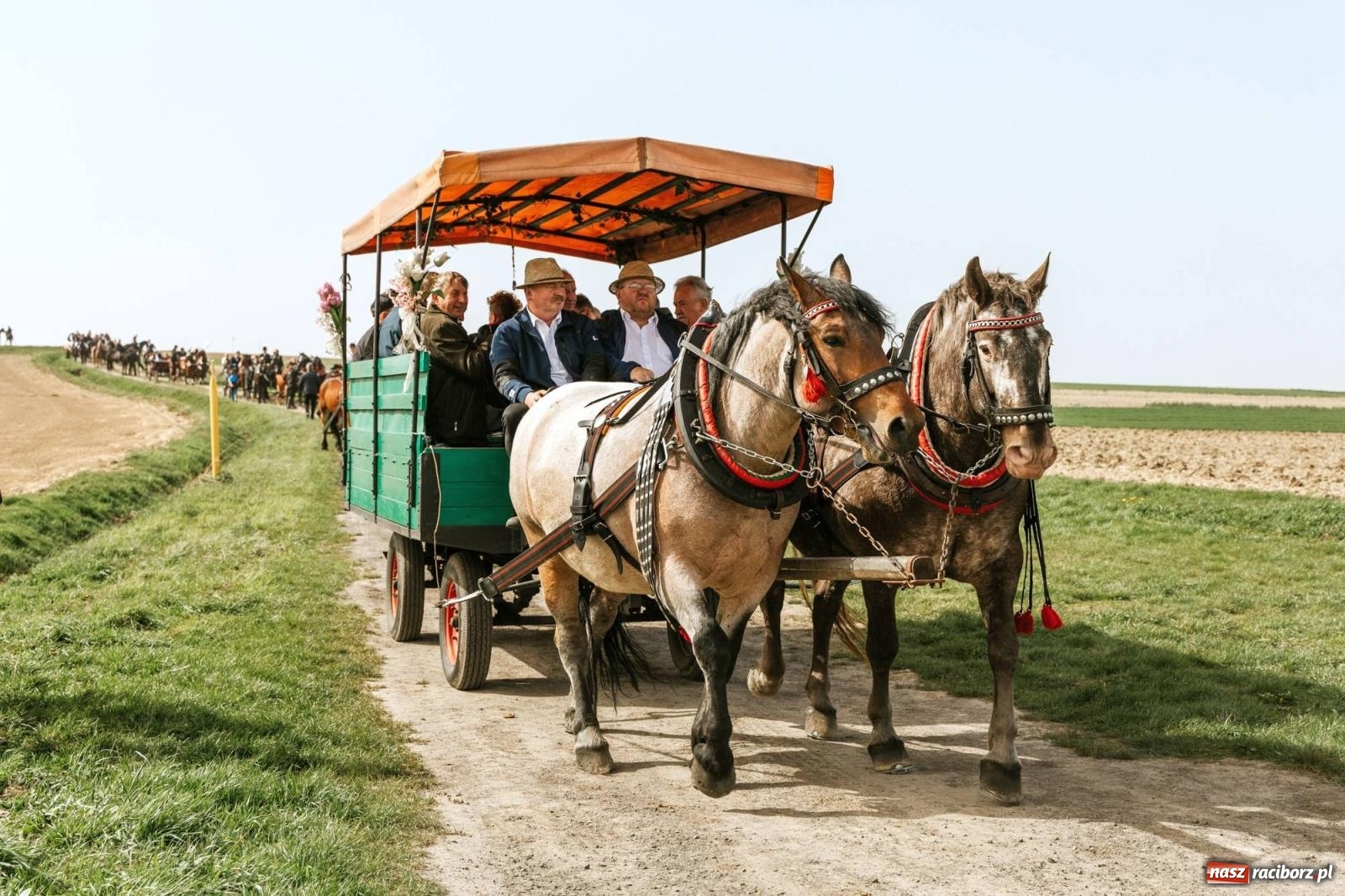 Zdjęcie w galerii na portalu naszraciborz.pl: Procesje konne w Bieńkowicach, Pietrowicach Wielkich i Sudole [FOTO] wiadomości z regionu