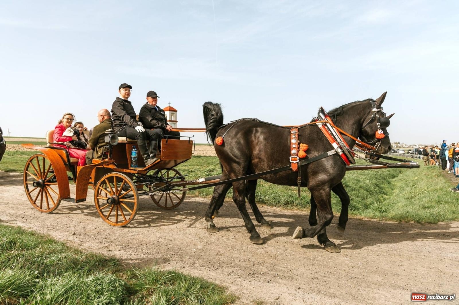 Zdjęcie w galerii na portalu naszraciborz.pl: Procesje konne w Bieńkowicach, Pietrowicach Wielkich i Sudole [FOTO] wiadomości z regionu