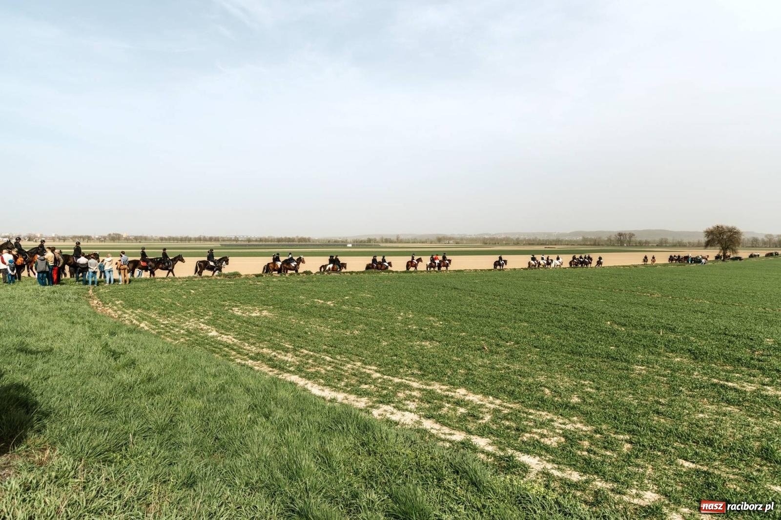 Zdjęcie w galerii na portalu naszraciborz.pl: Procesje konne w Bieńkowicach, Pietrowicach Wielkich i Sudole [FOTO] wiadomości z regionu