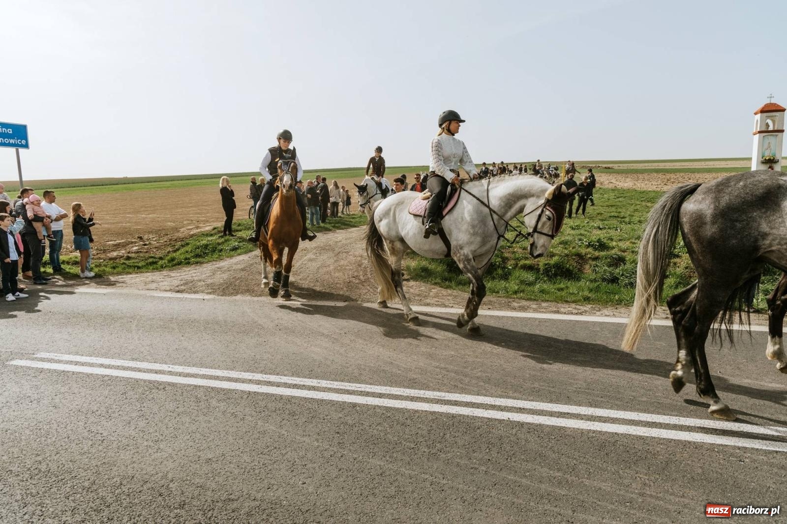 Zdjęcie w galerii na portalu naszraciborz.pl: Procesje konne w Bieńkowicach, Pietrowicach Wielkich i Sudole [FOTO] wiadomości z regionu