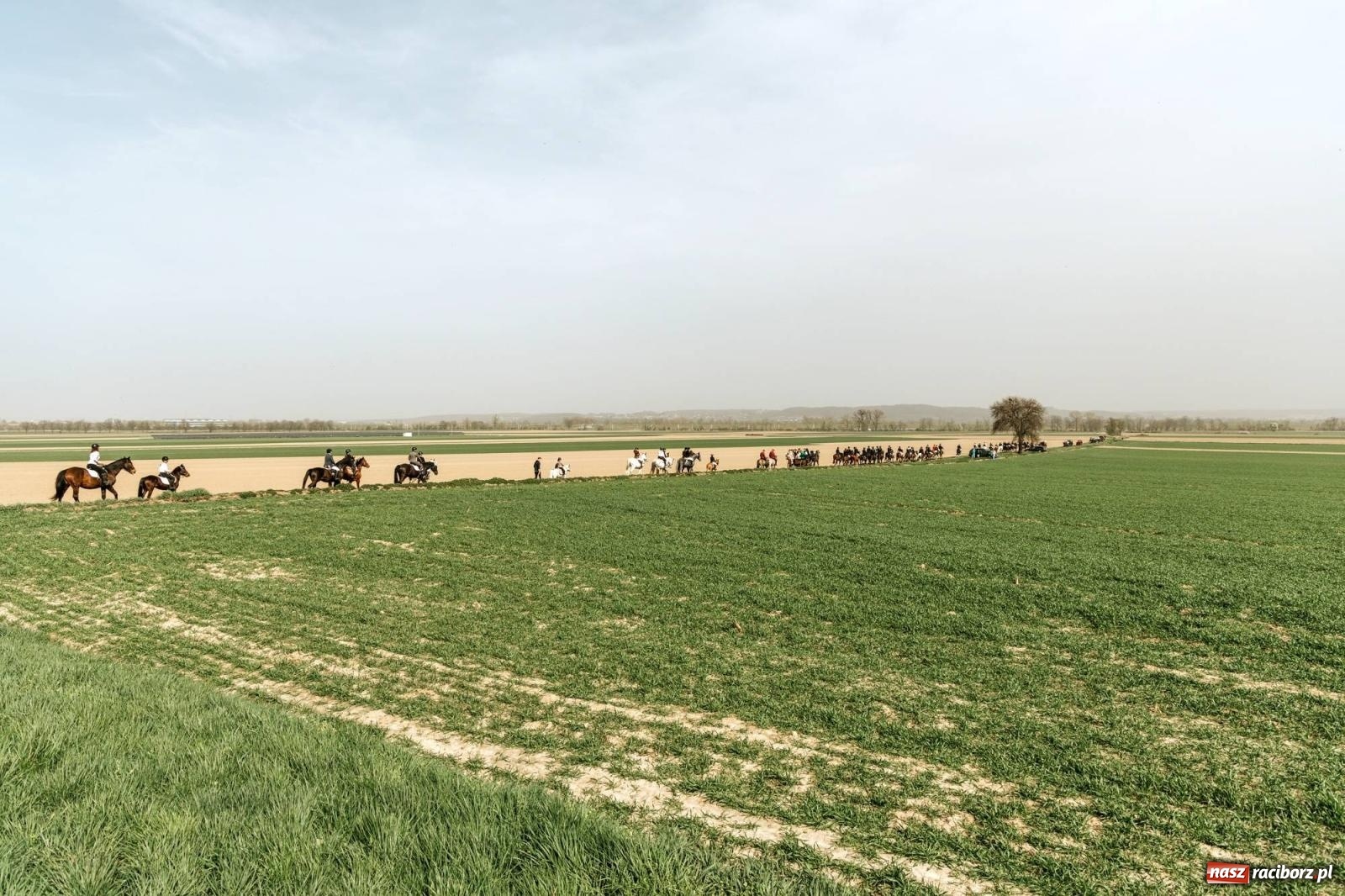 Zdjęcie w galerii na portalu naszraciborz.pl: Procesje konne w Bieńkowicach, Pietrowicach Wielkich i Sudole [FOTO] wiadomości z regionu