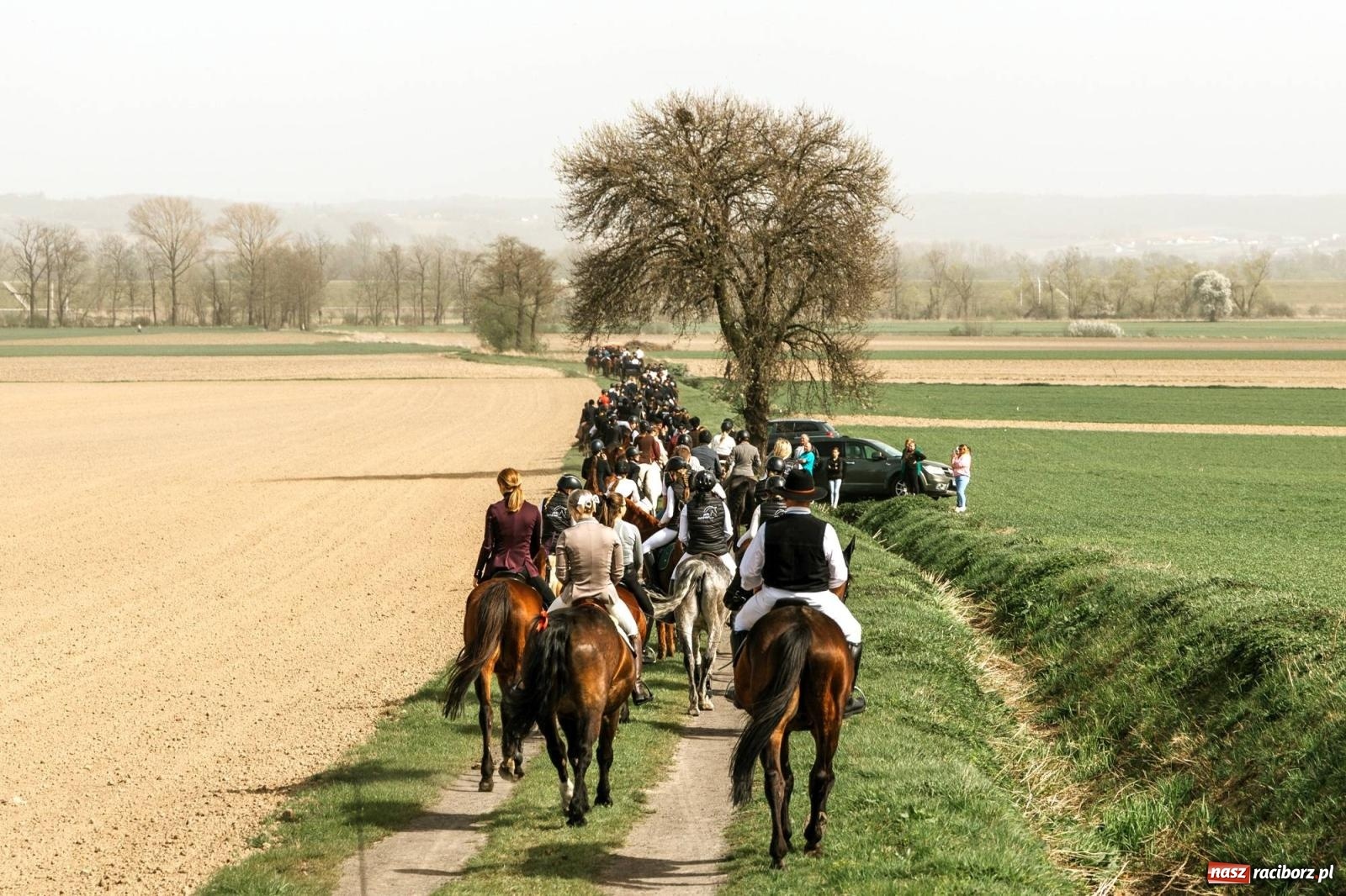 Zdjęcie w galerii na portalu naszraciborz.pl: Procesje konne w Bieńkowicach, Pietrowicach Wielkich i Sudole [FOTO] wiadomości z regionu