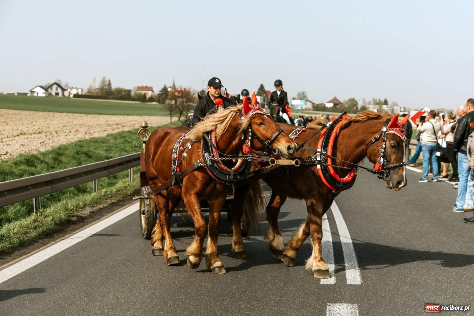 Zdjęcie w galerii na portalu naszraciborz.pl: Procesje konne w Bieńkowicach, Pietrowicach Wielkich i Sudole [FOTO] wiadomości z regionu