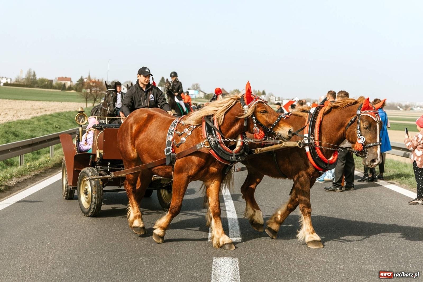Zdjęcie w galerii na portalu naszraciborz.pl: Procesje konne w Bieńkowicach, Pietrowicach Wielkich i Sudole [FOTO] wiadomości z regionu