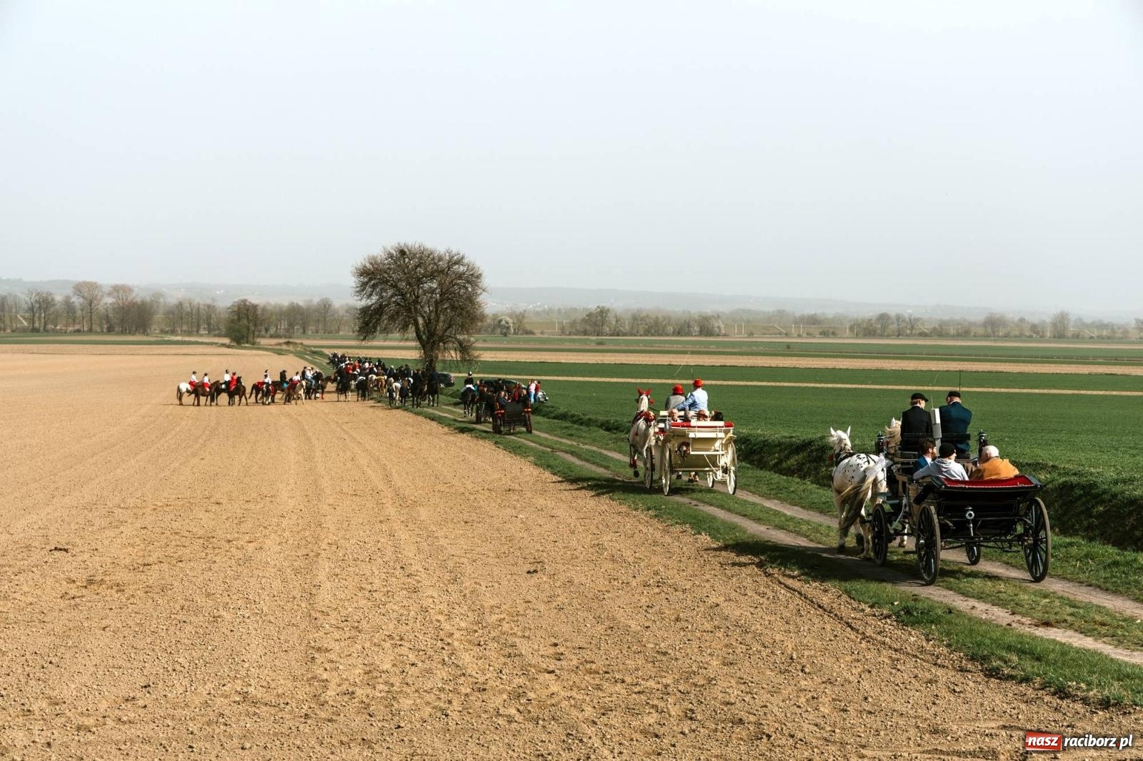 Zdjęcie w galerii na portalu naszraciborz.pl: Procesje konne w Bieńkowicach, Pietrowicach Wielkich i Sudole [FOTO] wiadomości z regionu