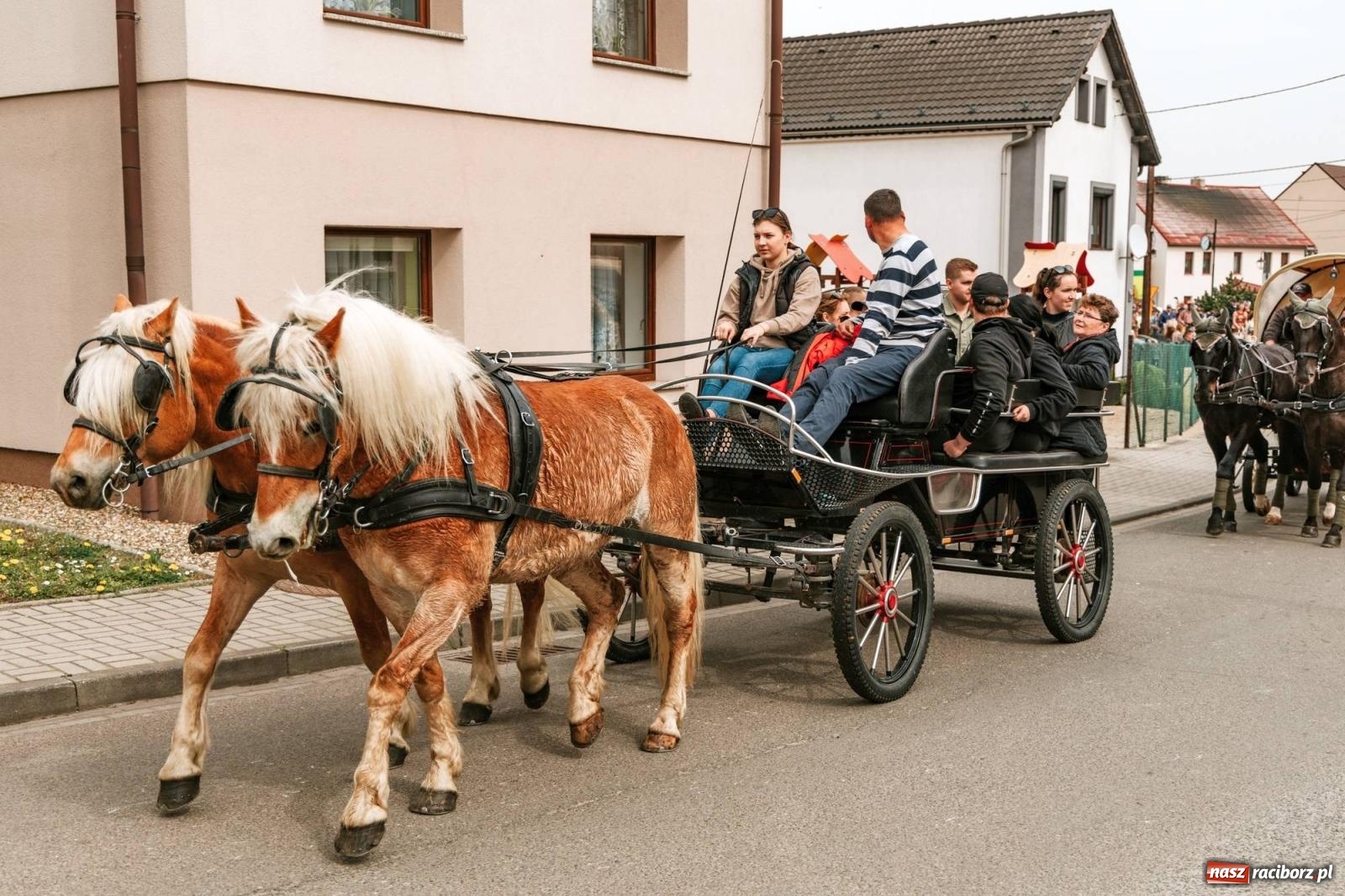 Zdjęcie w galerii na portalu naszraciborz.pl: Procesje konne w Bieńkowicach, Pietrowicach Wielkich i Sudole [FOTO] wiadomości z regionu