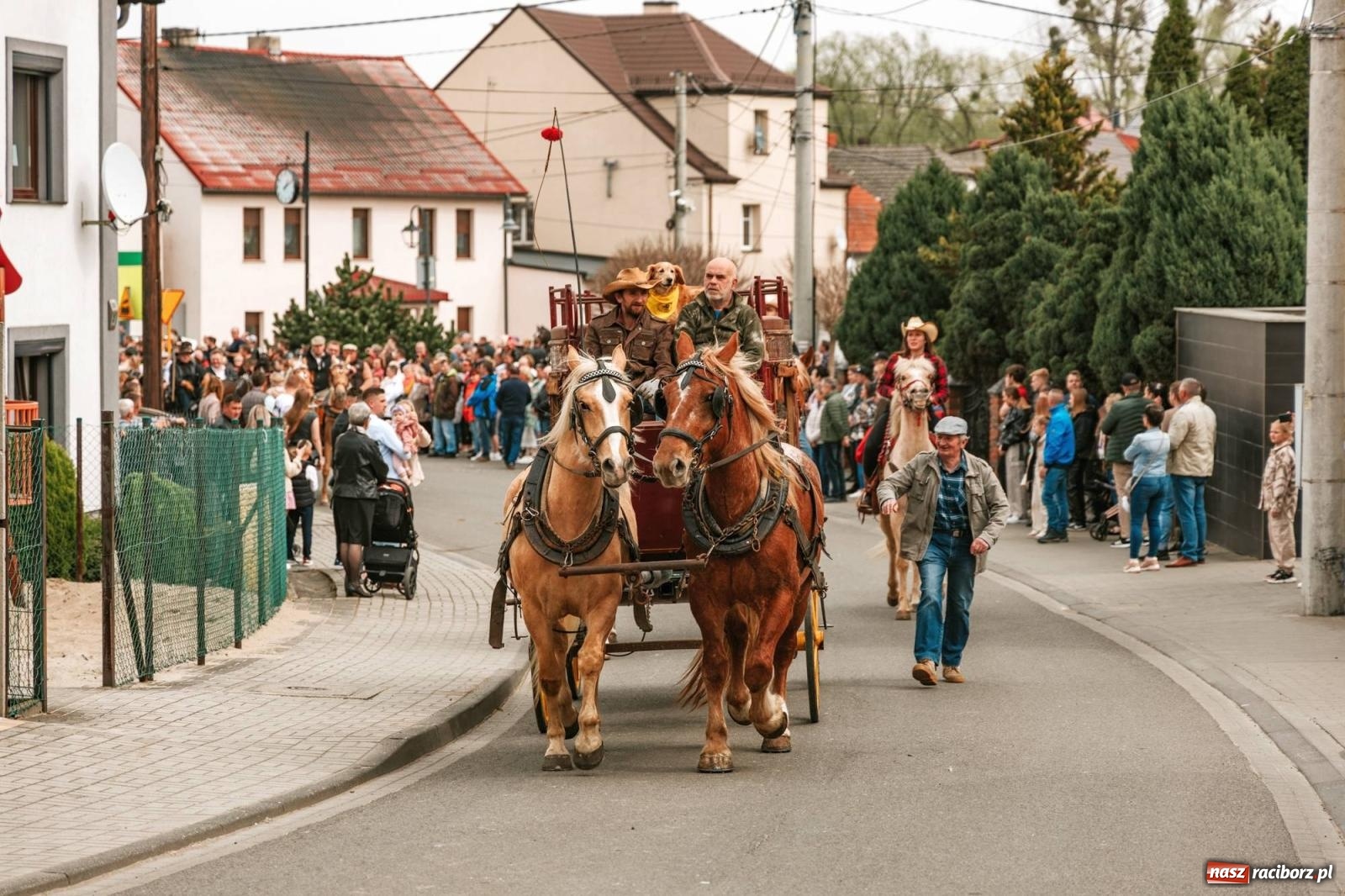 Zdjęcie w galerii na portalu naszraciborz.pl: Procesje konne w Bieńkowicach, Pietrowicach Wielkich i Sudole [FOTO] wiadomości z regionu