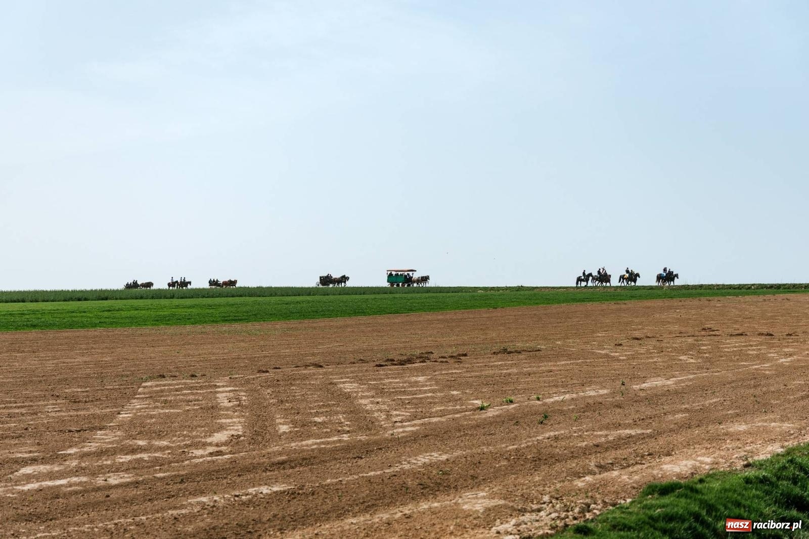 Zdjęcie w galerii na portalu naszraciborz.pl: Procesje konne w Bieńkowicach, Pietrowicach Wielkich i Sudole [FOTO] wiadomości z regionu