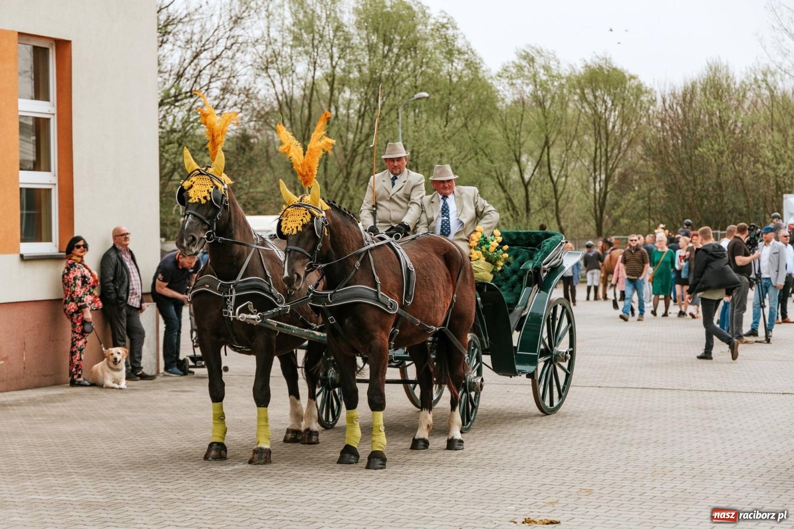 Zdjęcie w galerii na portalu naszraciborz.pl: Procesje konne w Bieńkowicach, Pietrowicach Wielkich i Sudole [FOTO] wiadomości z regionu