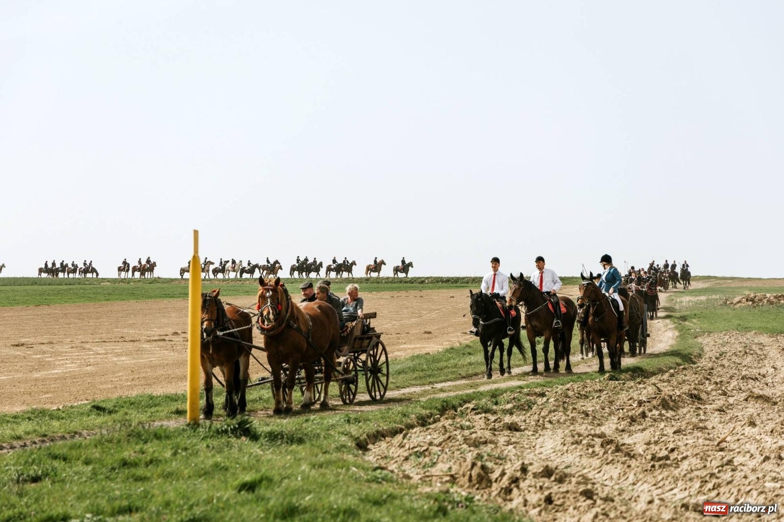 Zdjęcie w galerii na portalu naszraciborz.pl: Procesje konne w Bieńkowicach, Pietrowicach Wielkich i Sudole [FOTO] wiadomości z regionu