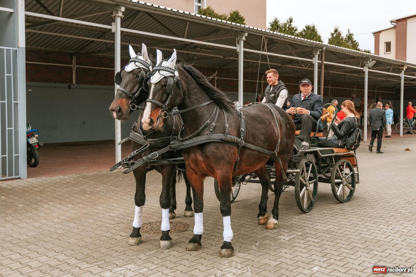 Zdjęcie w galerii na portalu naszraciborz.pl: Procesje konne w Bieńkowicach, Pietrowicach Wielkich i Sudole [FOTO] wiadomości z regionu