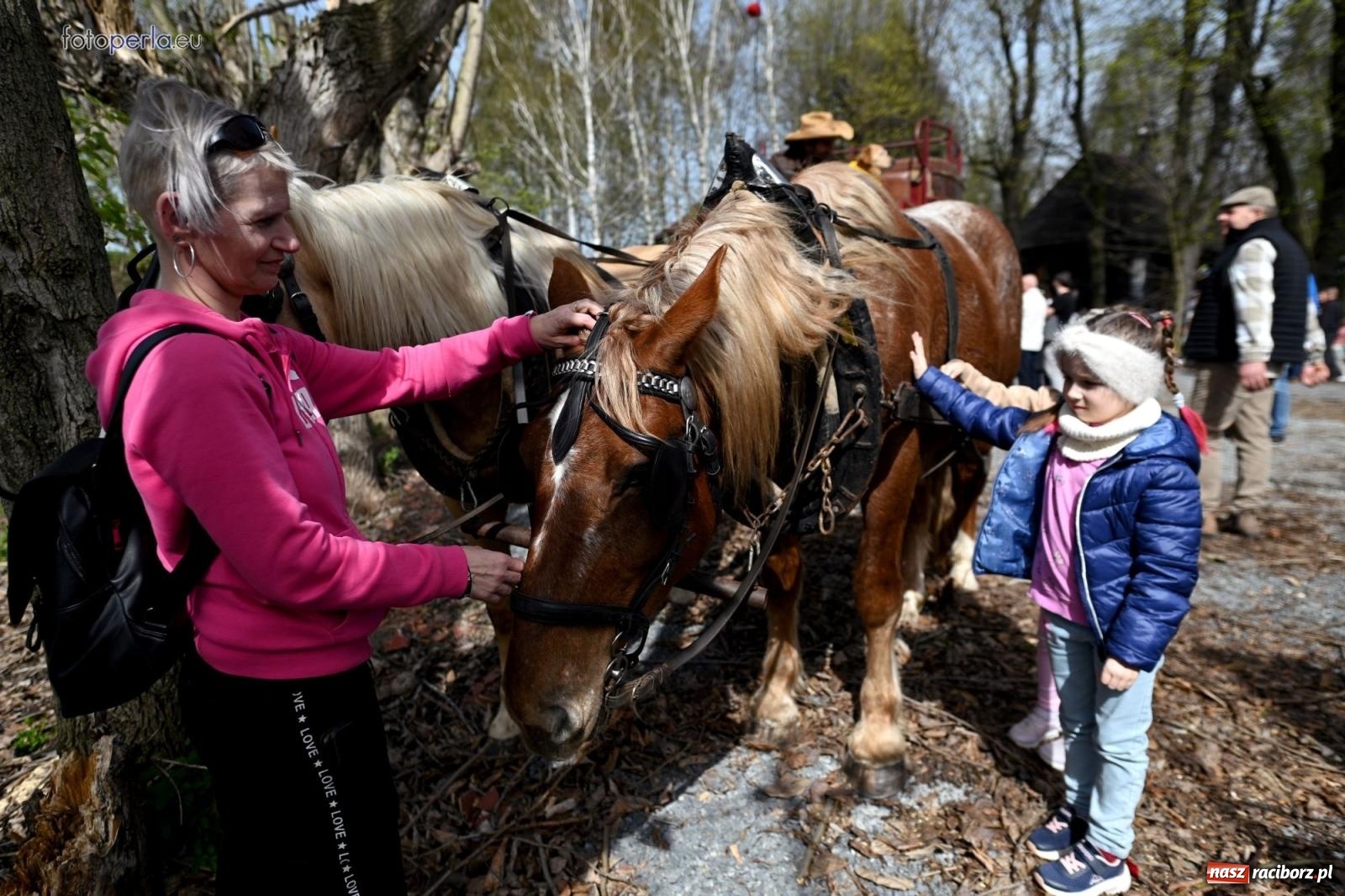 Zdjęcie w galerii na portalu naszraciborz.pl: Procesja w Pietrowicach Wielkich - nabożeństwo i wyścigi wiadomości z regionu